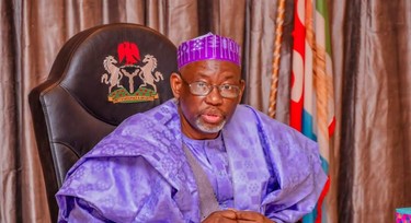 Namadi hires 300 health workers to tackle animal diseases in 287 wards in the state