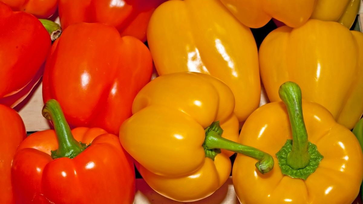 Žuta ili crvena paprika, koja je zdravija? Stručnjaci detaljno uporedili sastav i rešili dilemu