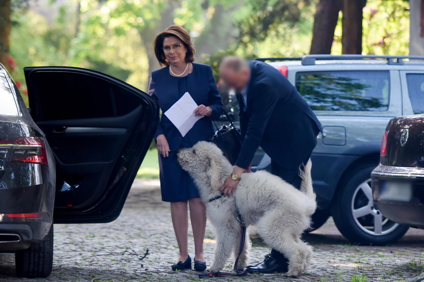 Już oficjalnie: rezygnacja Małgorzaty Kidawy Błońskiej