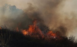 Pożar w Los Angeles. Nowe informacje