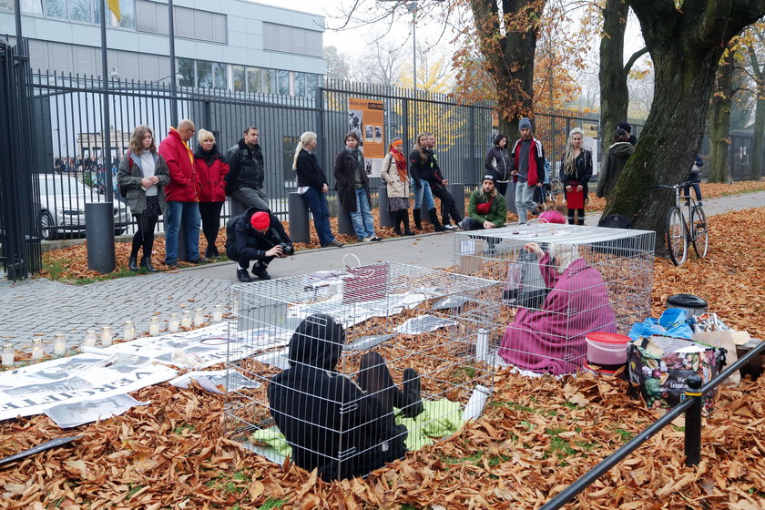 Konały w cierpieniu w imię "nauki". Jest decyzja władz ws. laboratorium grozy