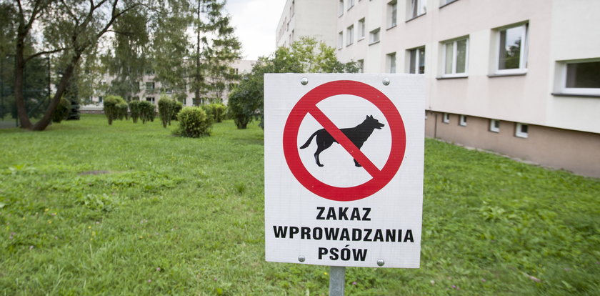 Czy zakaz wyprowadzania psów na trawnik jest legalny?