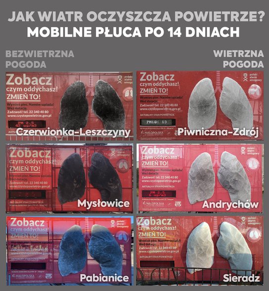 Mobilne płuca w miastach gdzie królowała wietrzna (po lewej) i bezwietrzna (po prawej) pogoda, grafika: Polski Alarm Smogowy