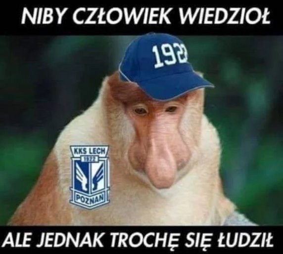 Memy po meczu Standard Liege - Lech Poznań