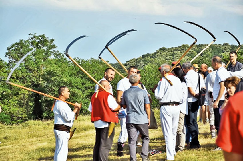 Kosidba na Selištu u Bukovcu