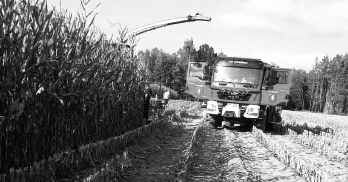 Makabra podczas koszenia. Rolnik zginął na polu