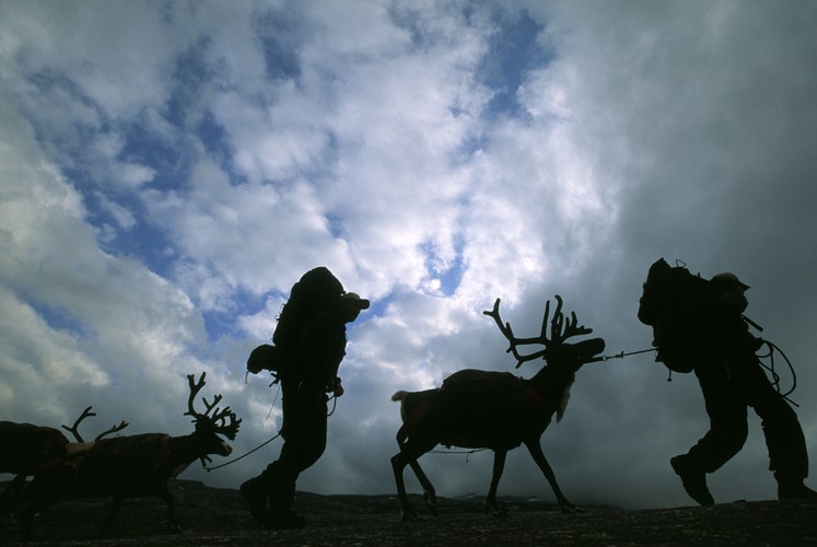 8-dniowa sylwestrowa wyprawa do Laponii została wyceniona na prawie 5900 złotych. W tej cenie zawarty jest przelot, 6 noclegów w apartamentach, transfery, ubezpieczenia oraz śniadania. Do kolacji sylwestrowej trzeba doliczyć kolejne 560 złotych.