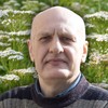 Hajdučka trava je ključna biljka domaće narodne medicine, poznata po širokoj primeni
