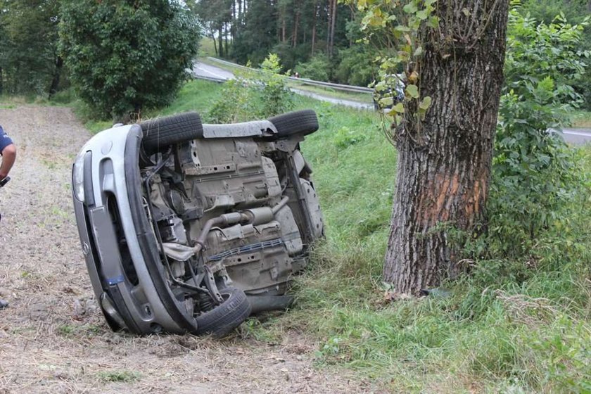 Wyrżnął oplem w drzewo. Nic mu się nie stało!