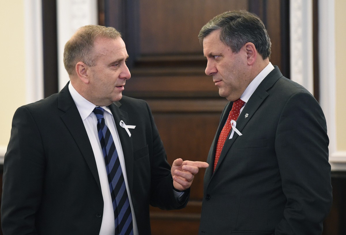 Grzegorz Schetyna i Janusz Piechociński