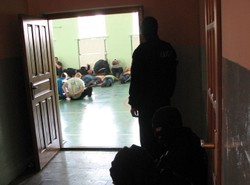 Kibole umówili się na bitwę w lesie