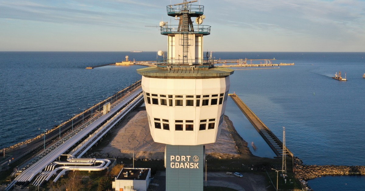 Przetarg na terminal zbożowy w Gdańsku odwołany. Co to oznacza dla rolników?