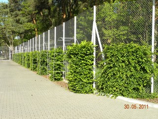 Trwa wybór lokalizacji ośrodka tymczasowego dla pacjentów placówki w Gostyninie