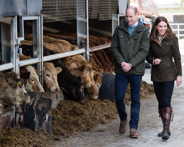 Kate Middleton Vilmos