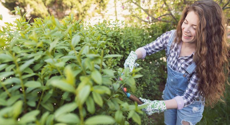 How To Get Rid Of Ticks From Your Body (And Yard!)