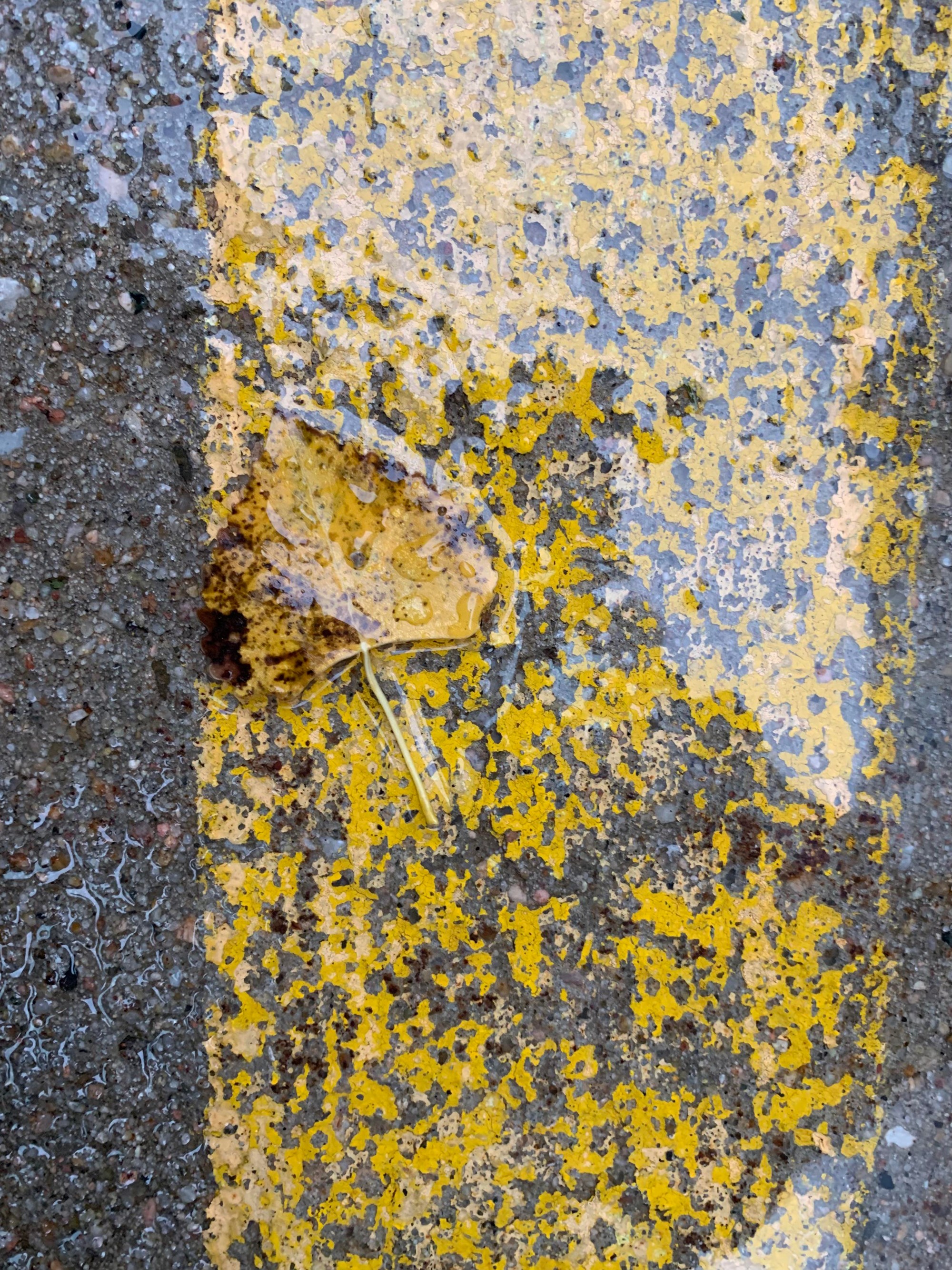 Fotografie, ktoré ukazujú, že život je jedna veľká náhoda.
