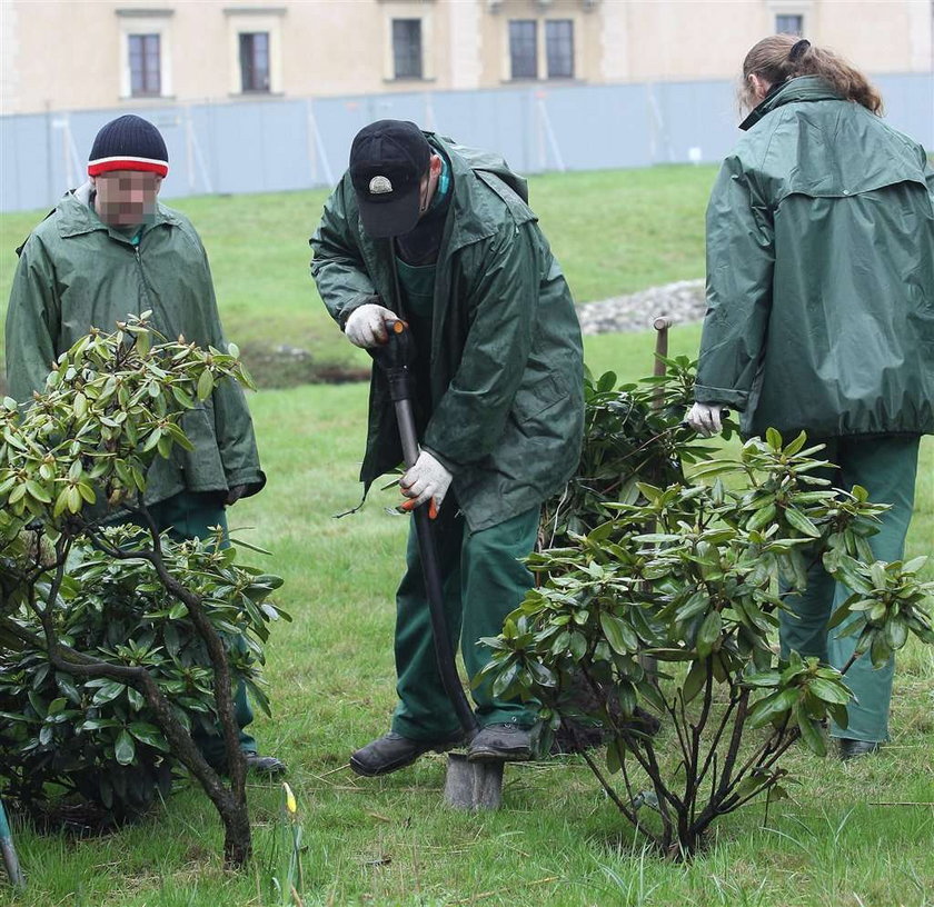 Tajni agenci, myśliwce i radary w Krakowie