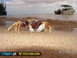 Oto zwycięzcy konkursu na fotowspomnienia