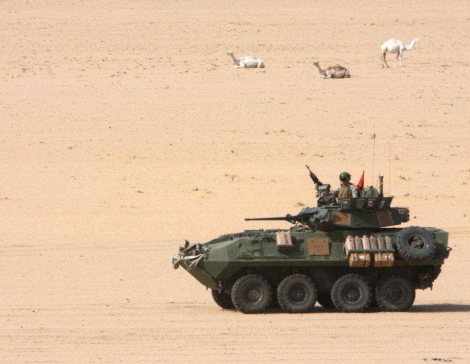 Light Armored Vehicles (LAV)