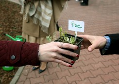 Niezwykły ogród na pamiątkę niezwykłej choroby. ZDJĘCIA