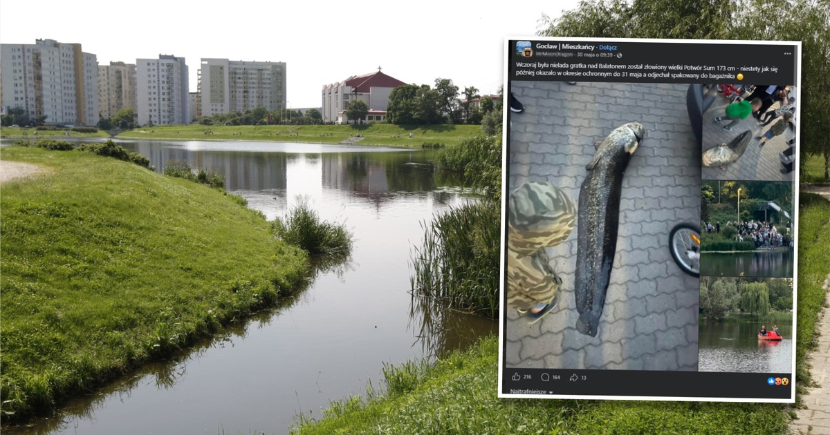 Gigantyczny sum wyciągnięty z Balatonu! Co się z nim stało?