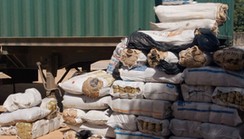 NSCDC intercepts Cannabis Sativa worth N64m on high sea