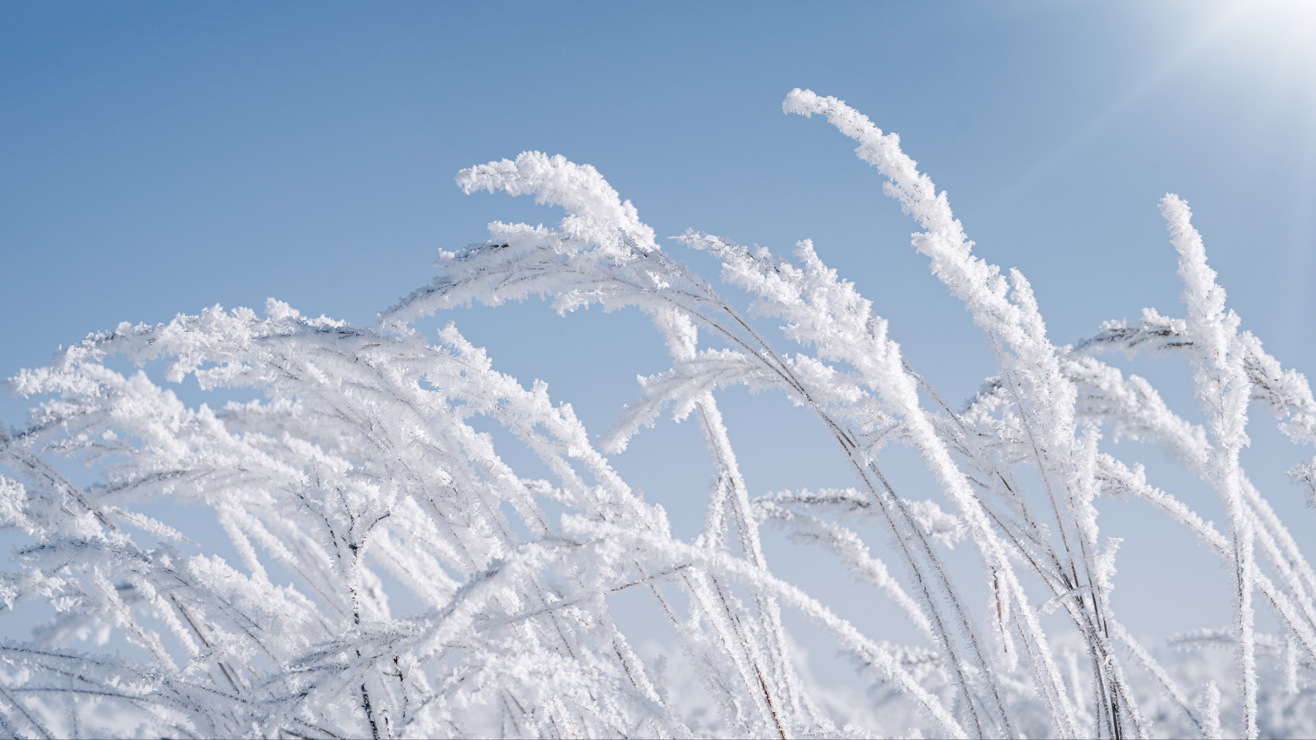 Pred 200 rokmi ľudia zažili rok bez leta.
