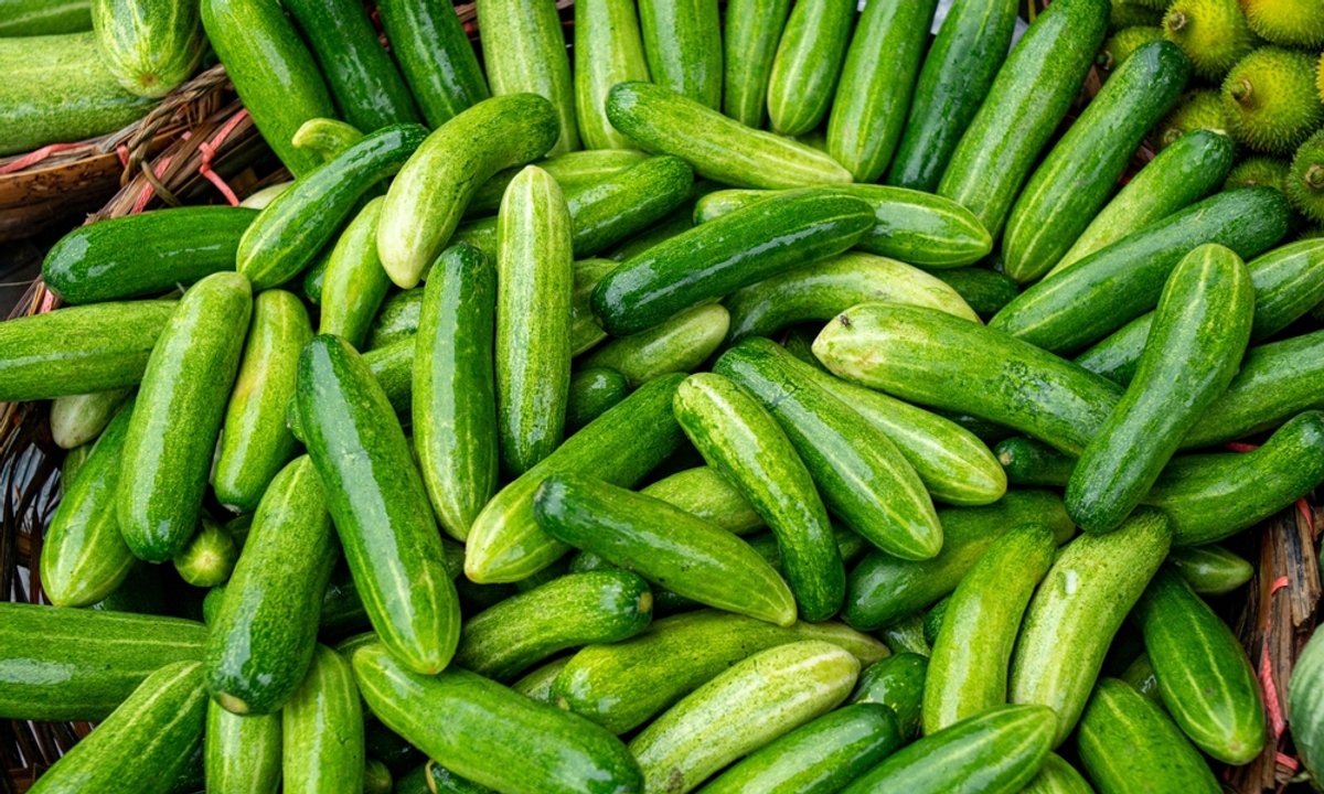 Klienci przerażeni cenami ogórków. Tak drogo jeszcze nie było