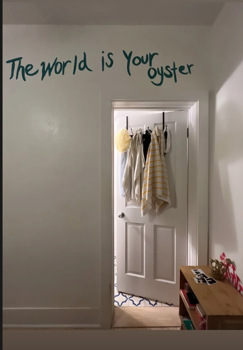 Objava Indije Oxenberg