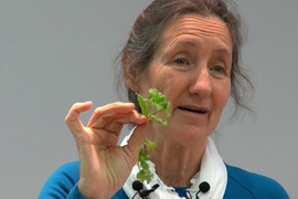 Barbara je najpoznatiji GURU ZA PRIRODNO ISCELJENJE i ovo je njenih 9 SAVETA za prevenciju raka, upala i sledećih bolesti: Upozarava da JEDNU NAMIRNICU izbegavamo u širokom luku