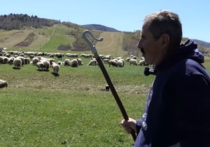 Senad Ramulj 