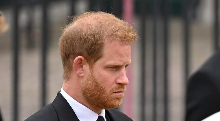 Harry herceg elől titkolják rákos családtagjai állapotát Fotó: Getty Images