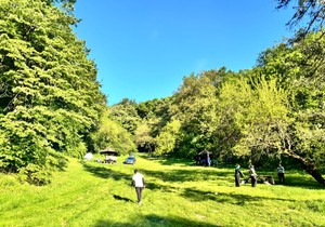 Košutnjak 