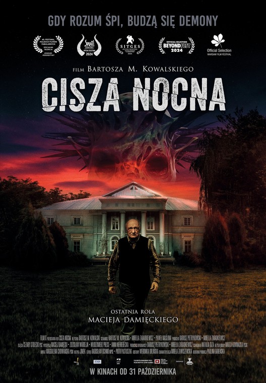 Plakat filmu "Cisza nocna"