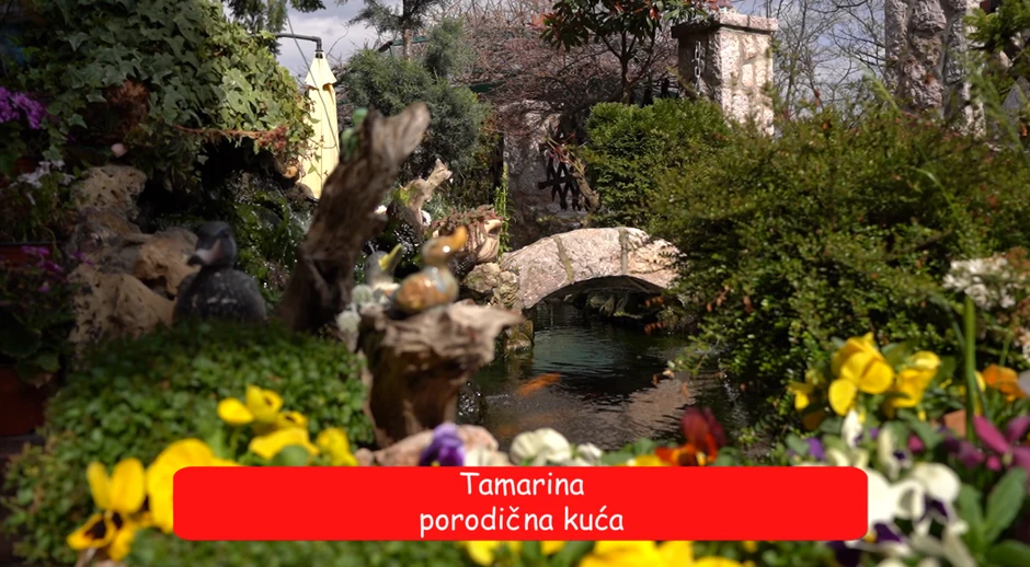 Tamara Milutinović, emisija "Metar moga sela"