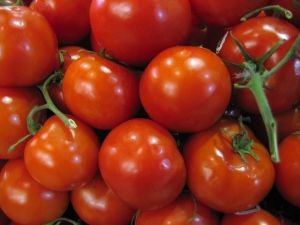 706098-red-tomatoes-d00000081c172ce610f48