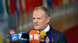 tsue uderza w trybunał konstytucyjny. tusk zapowiada jego naprawę