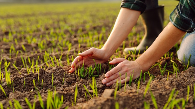 gyógyszermaradvány talaj veszély