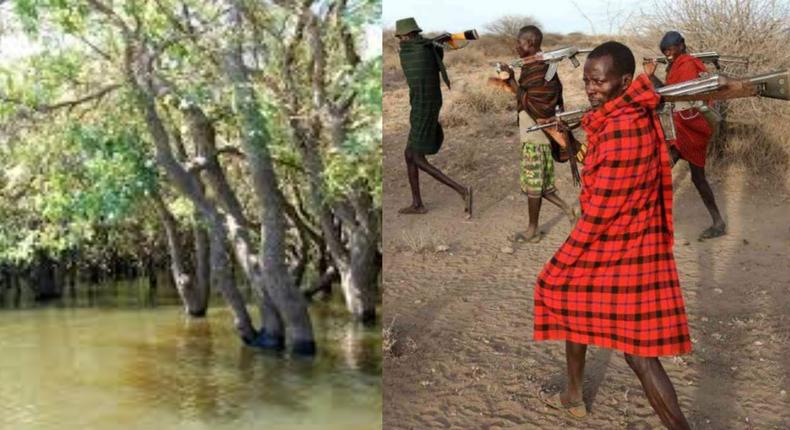 Armed robbers rendered homeless as their hideout in the forest gets flooded 