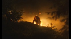 Niezwykły film zmierza do polskich kin. "Nakręcony przez żywych ludzi w czasach, gdy większość pracy wykonują komputery"