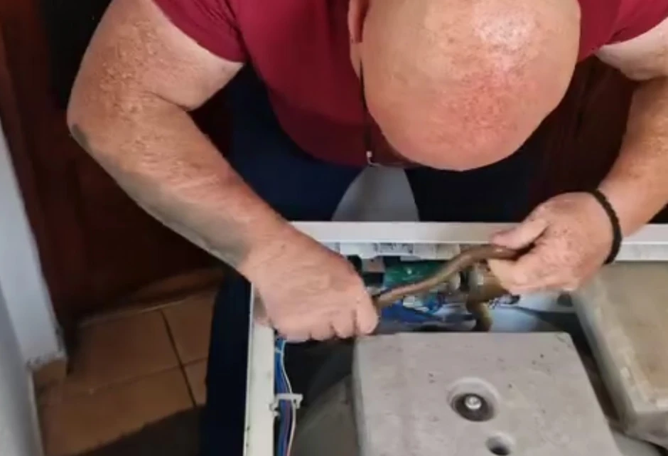 Zmije u veš mašini