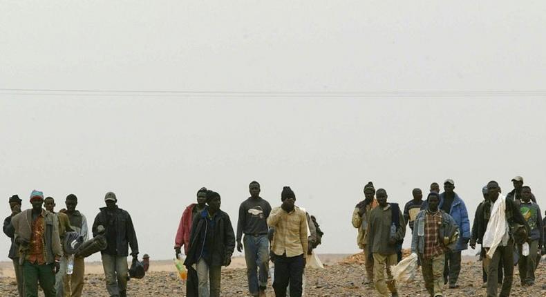 African migrants walk in the middle of the Sahara Desert on October 8, 2005