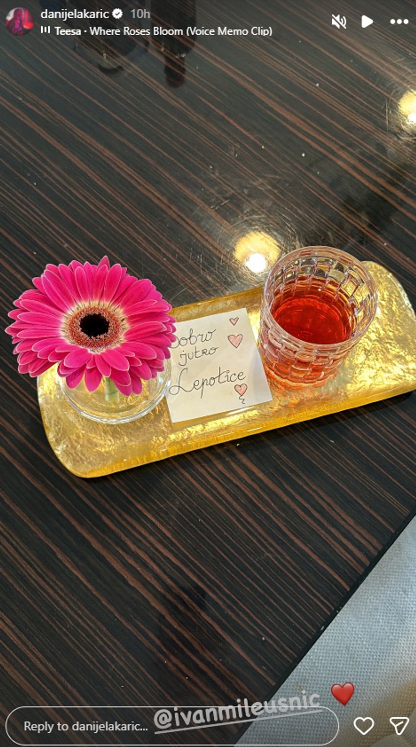 Danijela Karić objava