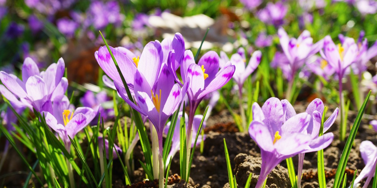 turcja-temperatura-we-wrze-niu-czy-warto-jecha-pogoda