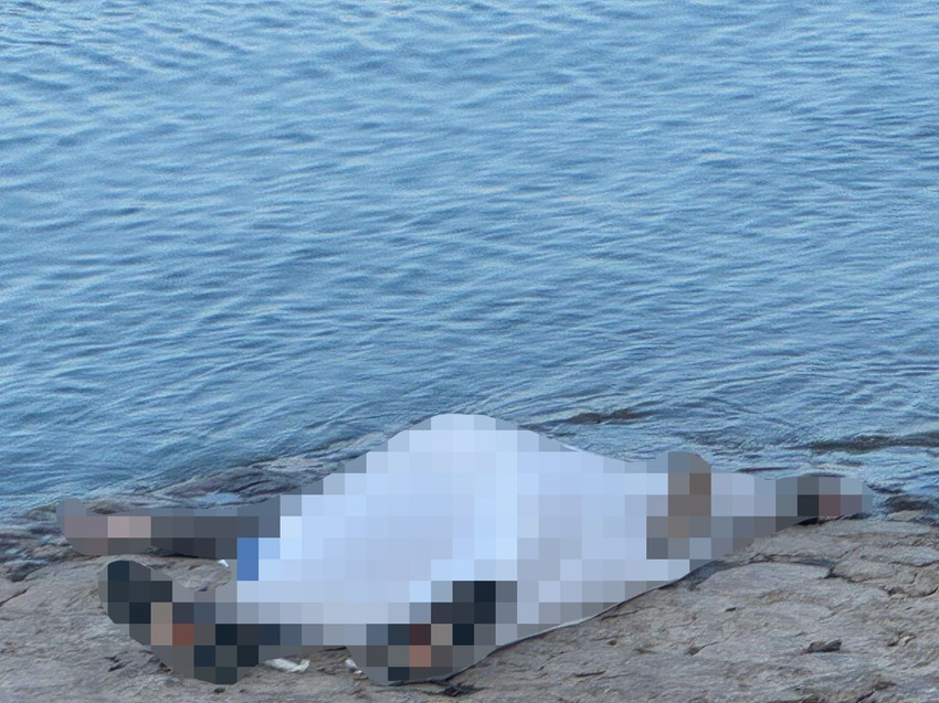 Telo na Zemunskom Keju