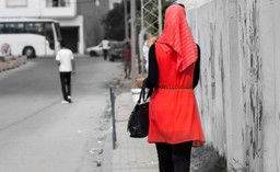 Daniel Pipes: Dlaczego Polsce nie grozi islamizacja?