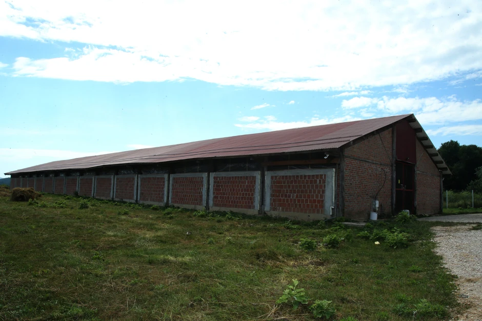 Azil za pse na Manjači kod Banjaluke 