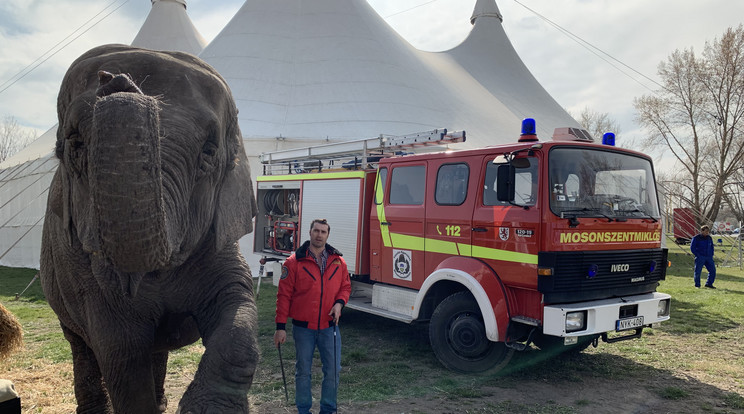 Medencetöltéssel kezdett Szandra a cirkuszi elefánt
