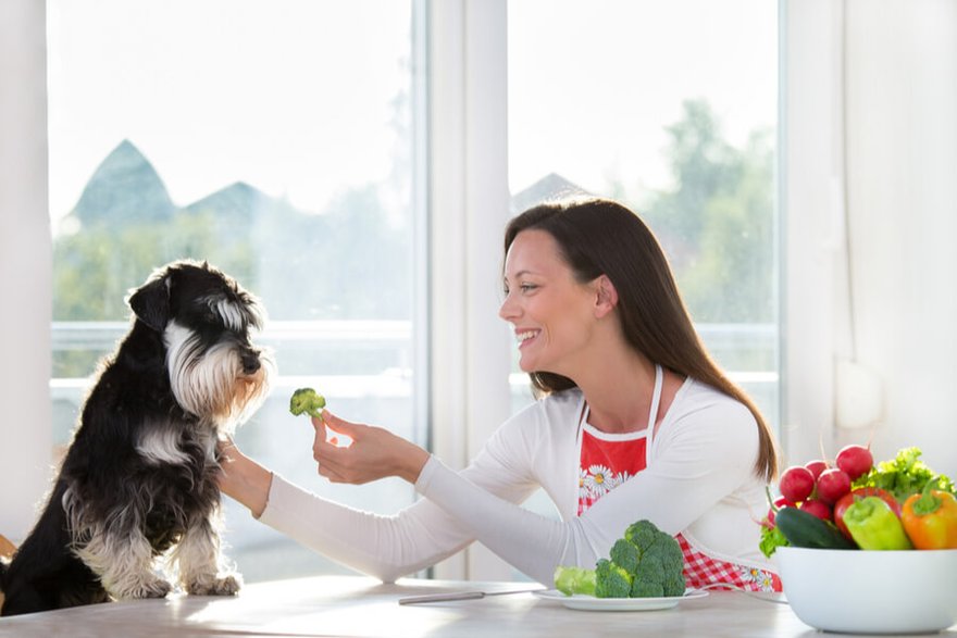 Urozmaicona dieta jest bardzo wskazana w przypadku zdrowych, dorosłych psów©Shutterstock