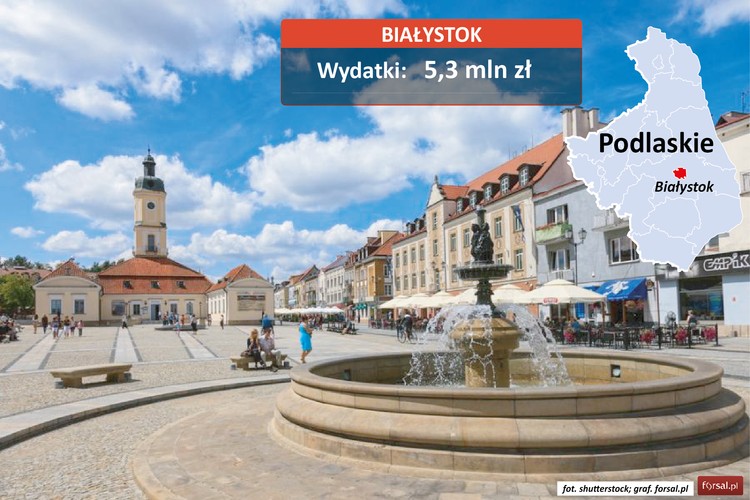 W 2014 r. stolica Podlasia przeznaczyła na wydatki promocyjne 5,3 mln zł. W kwocie tej mieszczą się działania promocyjne wykonywane poprzez dyscypliny sportowe: piłkę nożną, football amerykański, tenis stołowy czy boks. Innym obszarem działalności promocyjnej była sfera kultury i sztuki. Białystok był współorganizatorem Fashionable East 2014, jedynej w północno-wschodniej Polsce imprezy artystyczno-promocyjnej opartej na modzie.